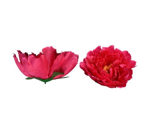 Single Peony Head (16cm)