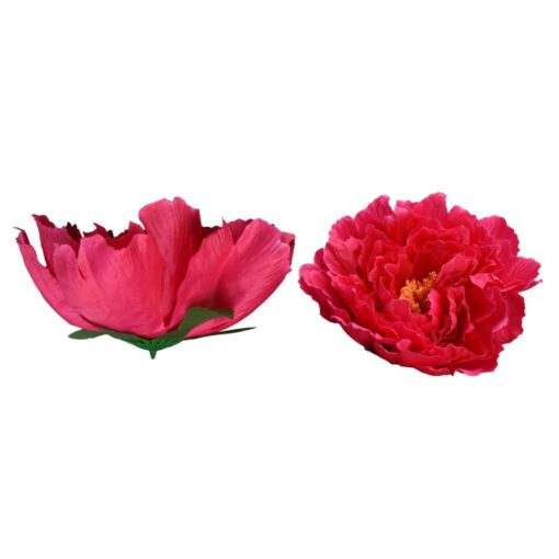 Single Peony Head (16cm)