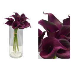 CALLA LILY BUNDLE (MYSTERY PURPLE)