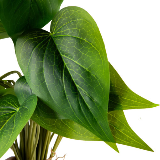 Calla Lily Leaves (H61cm) - Image 2