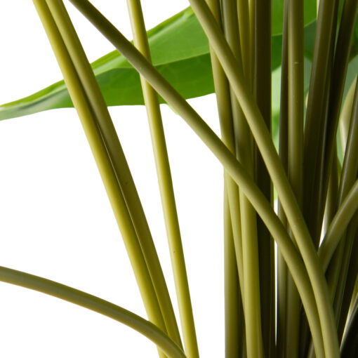 Calla Lily Leaves (H61cm) - Image 3