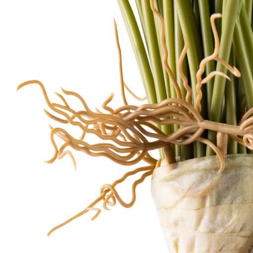 Calla Lily Leaves (H61cm) - Image 4