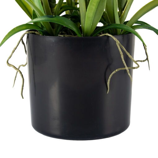Potted Cymbidium (H90cm) - Image 5