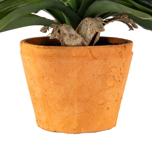 Potted Ananas (H43cm) - Image 4