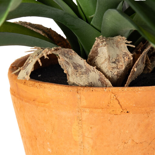 Potted Ananas (H43cm) - Image 5