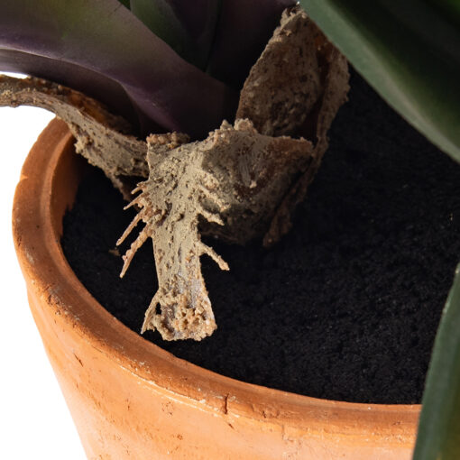 Potted Ananas (H43cm) - Image 11