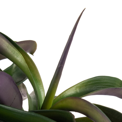 Potted Ananas (H43cm) - Image 8