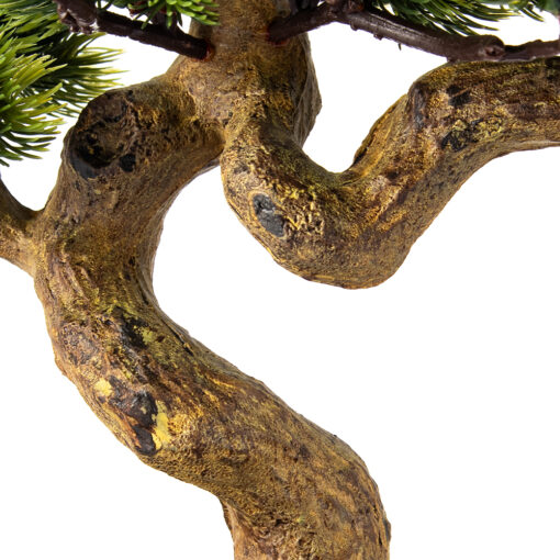 Potted Greeting Pine (H42cm) - Image 7