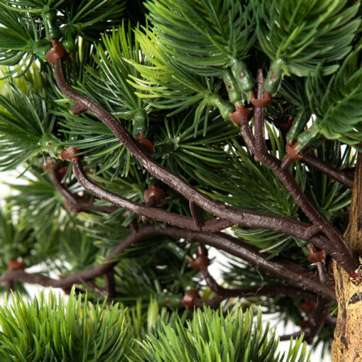 Potted Greeting Pine (H42cm) - Image 4