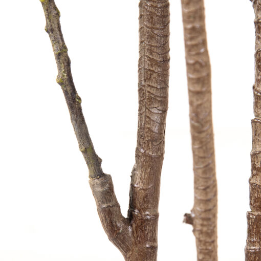 Potted Sunshine Tree (H180cm) - Image 5