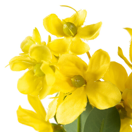 Potted Sunshine Tree (H180cm) - Image 6