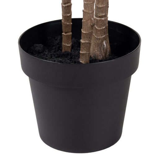 Potted Sunshine Tree (H180cm) - Image 7