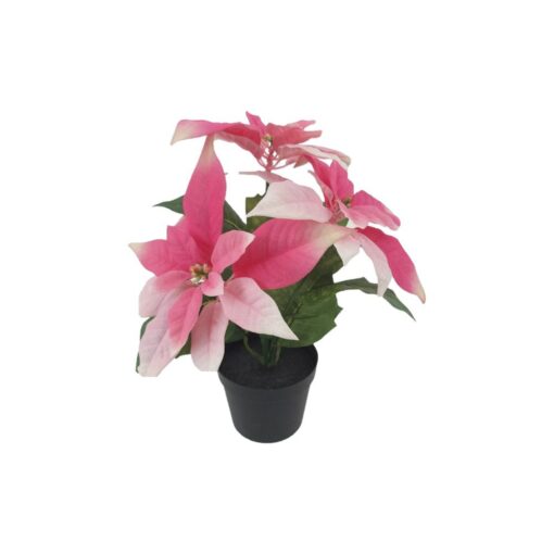 Poinsettia with Pot (H34cm)