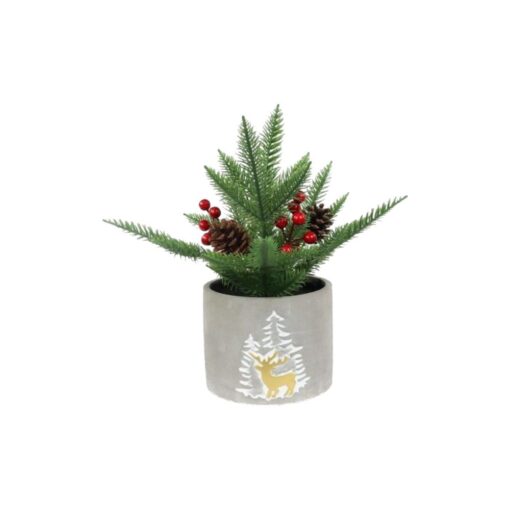 Potted X'Mas Plant (H29cm)