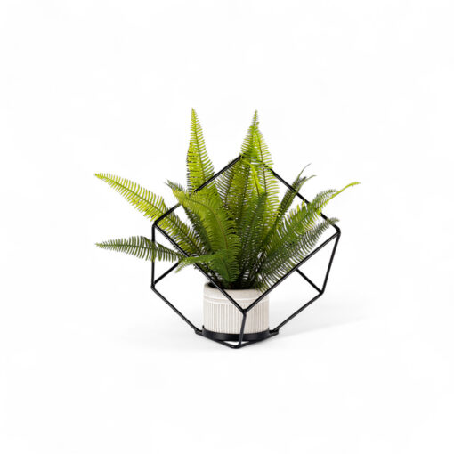 Potted Fern with Iron Frame (H33cm) - Image 2
