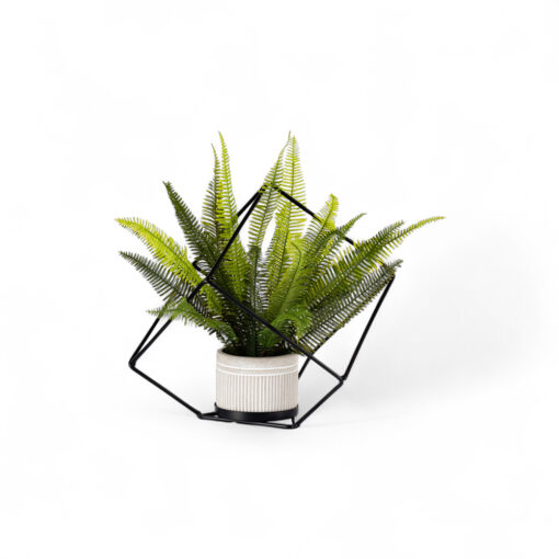 Potted Fern with Iron Frame (H33cm)