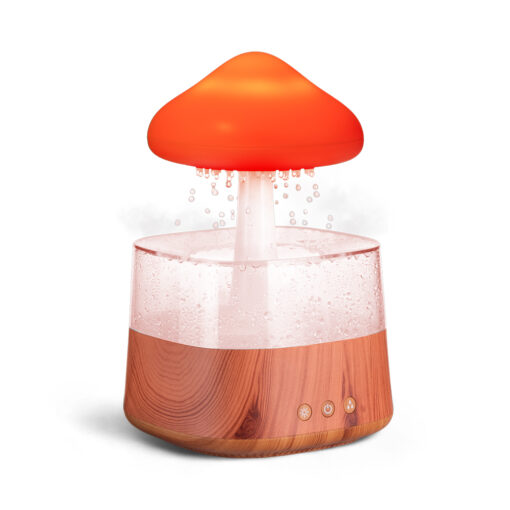 Rain Cloud Humidifier (H26.1cm) - Image 10