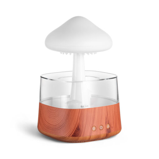 Rain Cloud Humidifier (H26.1cm)