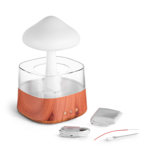 Rain Cloud Humidifier (H26.1cm) - Image 12
