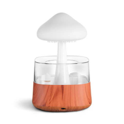 Rain Cloud Humidifier (H26.1cm) - Image 4