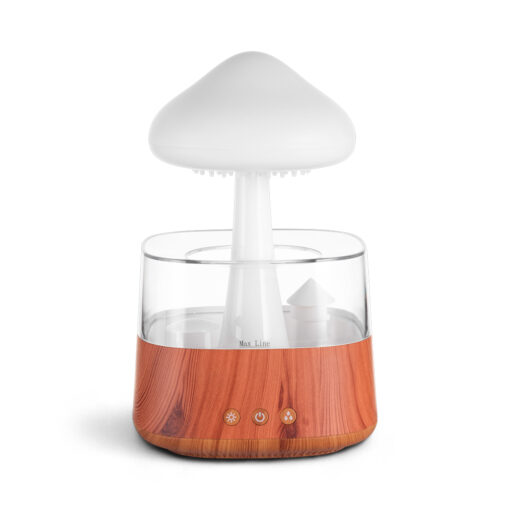 Rain Cloud Humidifier (H26.1cm) - Image 3