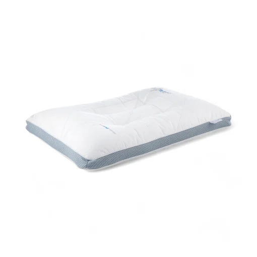 Rosy Pillow