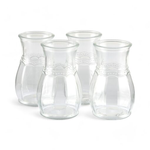 4 Pcs Glass Jar Set