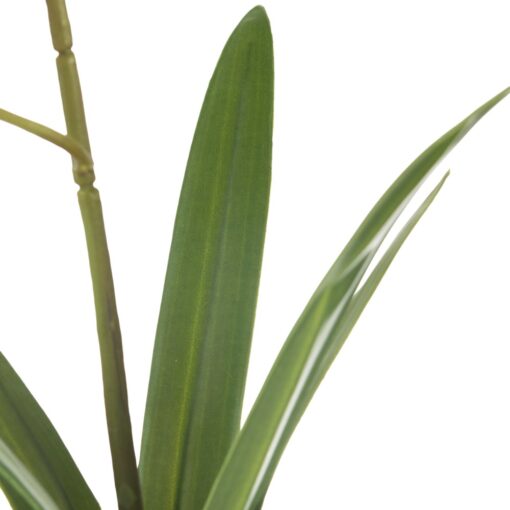 Potted Vanda (H40cm) - Image 3