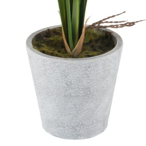 Potted Vanda (H40cm) - Image 7
