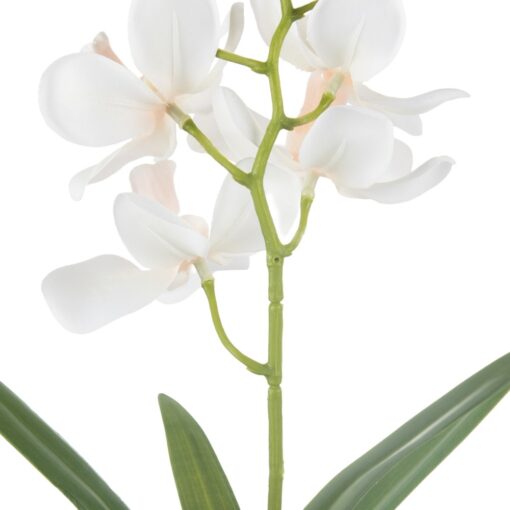 Potted Vanda (H40cm) - Image 9