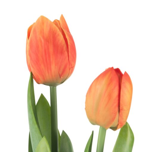 Potted Tulip (H40cm) - Image 2