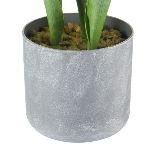 Potted Tulip (H40cm) - Image 4