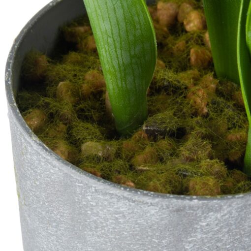 Potted Tulip (H40cm) - Image 6