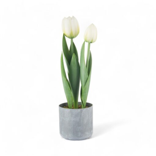 Potted Tulip (H40cm) - Image 7