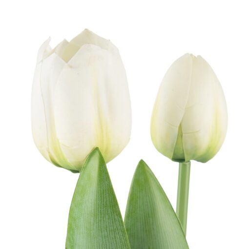 Potted Tulip (H40cm) - Image 8