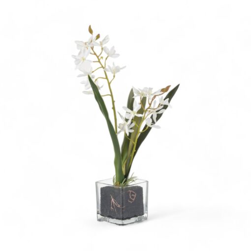 Glass Potted Orchid (H42cm)