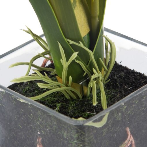Glass Potted Orchid (H42cm) - Image 6
