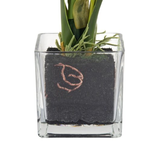 Glass Potted Orchid (H42cm) - Image 7