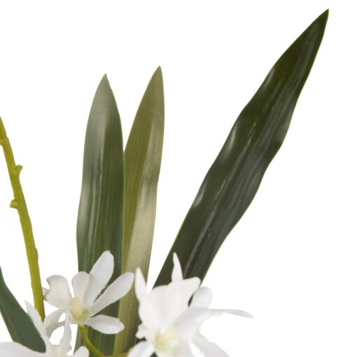 Glass Potted Orchid (H42cm) - Image 5