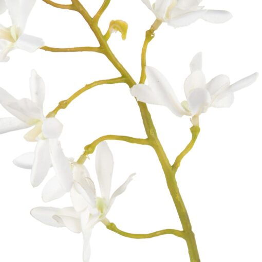 Glass Potted Orchid (H42cm) - Image 4