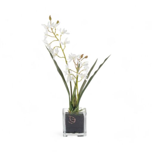 Glass Potted Orchid (H42cm) - Image 2