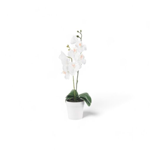 Potted Orchid (H28cm)