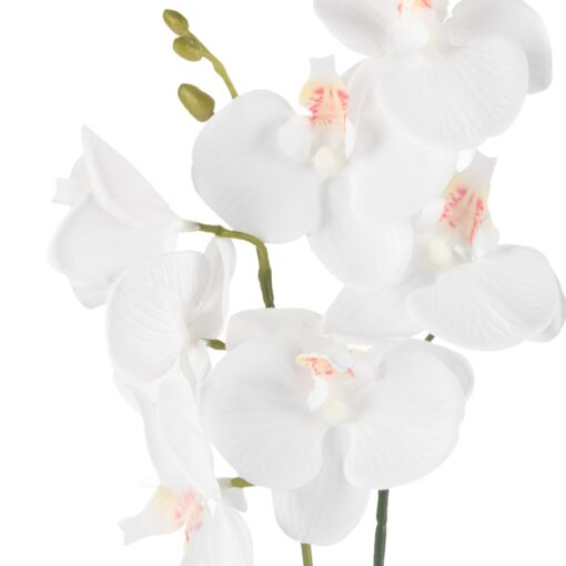 Potted Orchid (H28cm) - Image 2