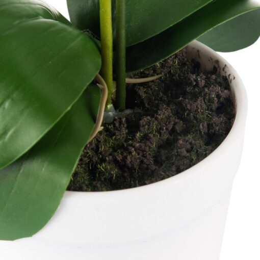 Potted Orchid (H28cm) - Image 3
