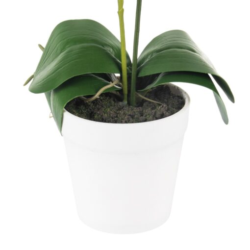 Potted Orchid (H28cm) - Image 4