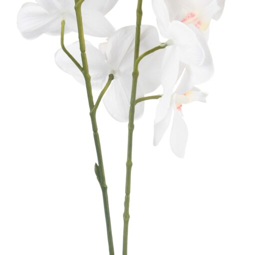 Potted Orchid (H28cm) - Image 5