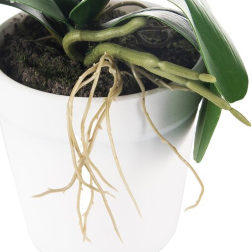 Potted Orchid (H28cm) - Image 6
