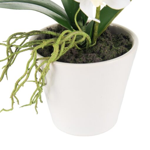 Potted Orchid (H20cm) - Image 3