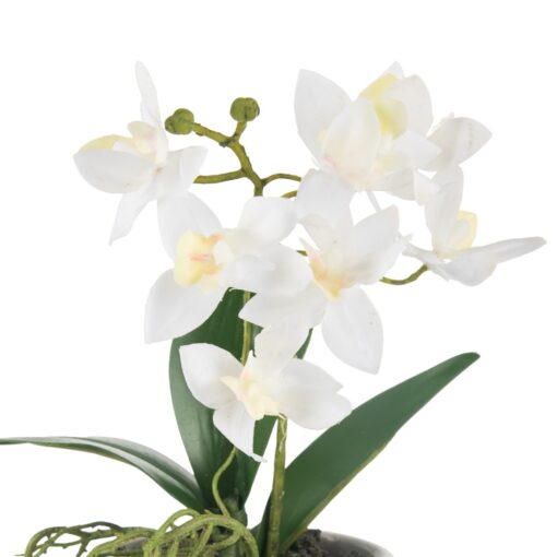 Potted Orchid (H20cm) - Image 2