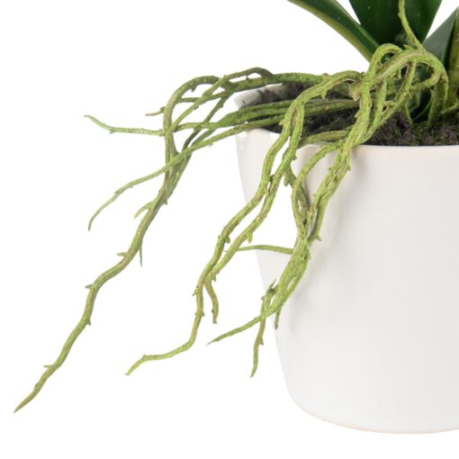 Potted Orchid (H20cm) - Image 4